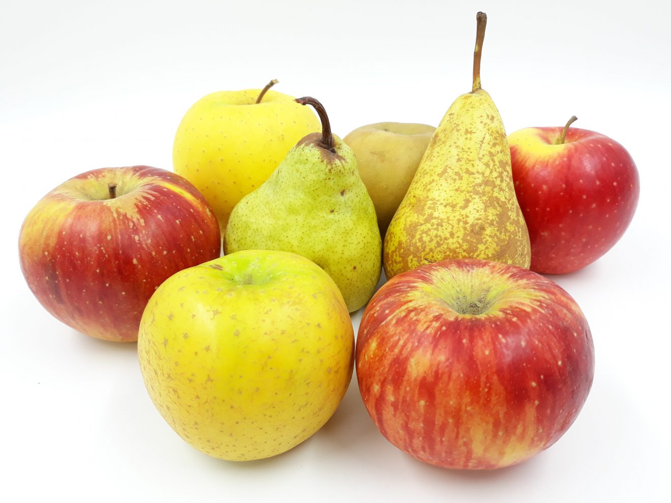 N°8 Pommes et Poires Gaec de Ramonchamp de Gigney